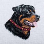 (image for) Rottweiler